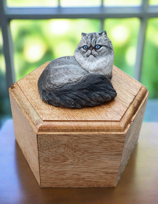 Persian Cat Pillbox Style Cremation Urn for Pet Ashes