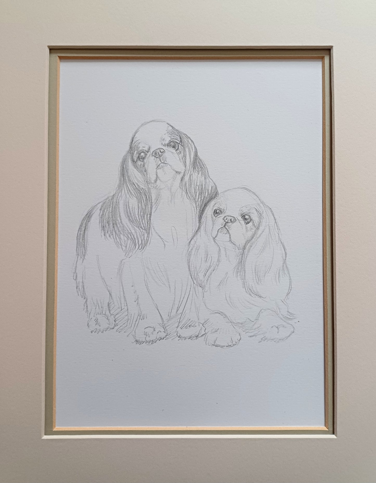 Original Pencil Sketch of English Toy Spaniels / King Charles Spaniel