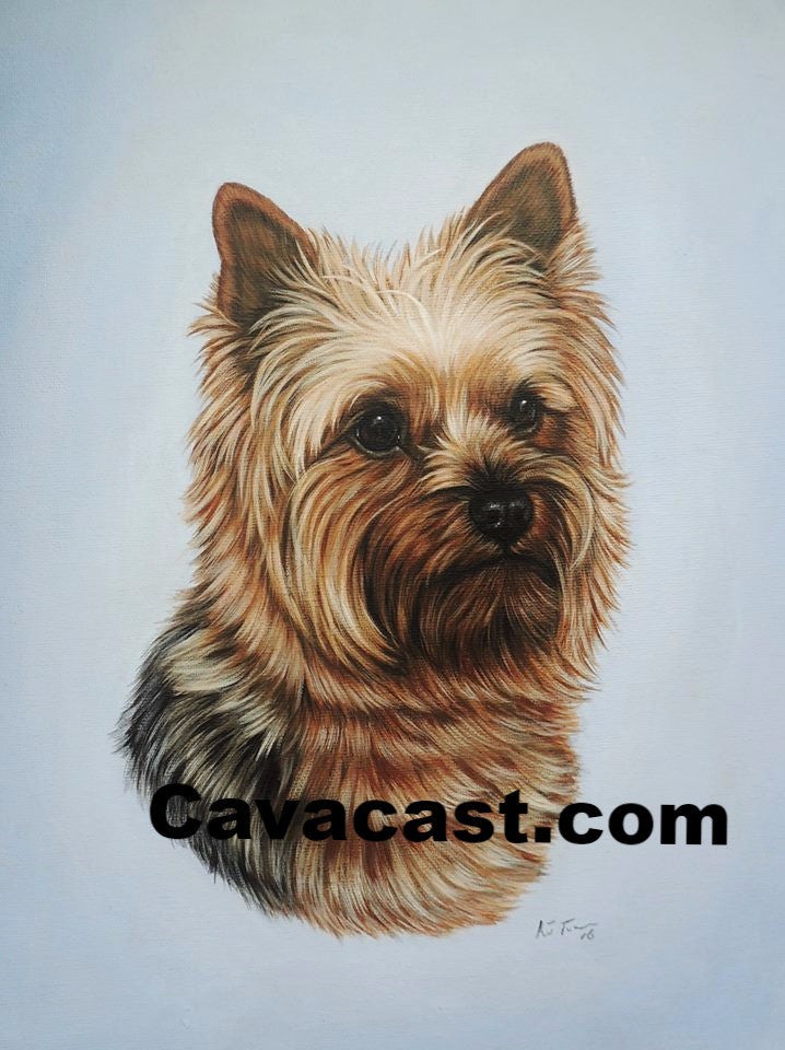 Paintings Of Your Pet On Canvas