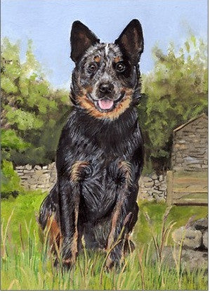 Pinting of australian cattle dog