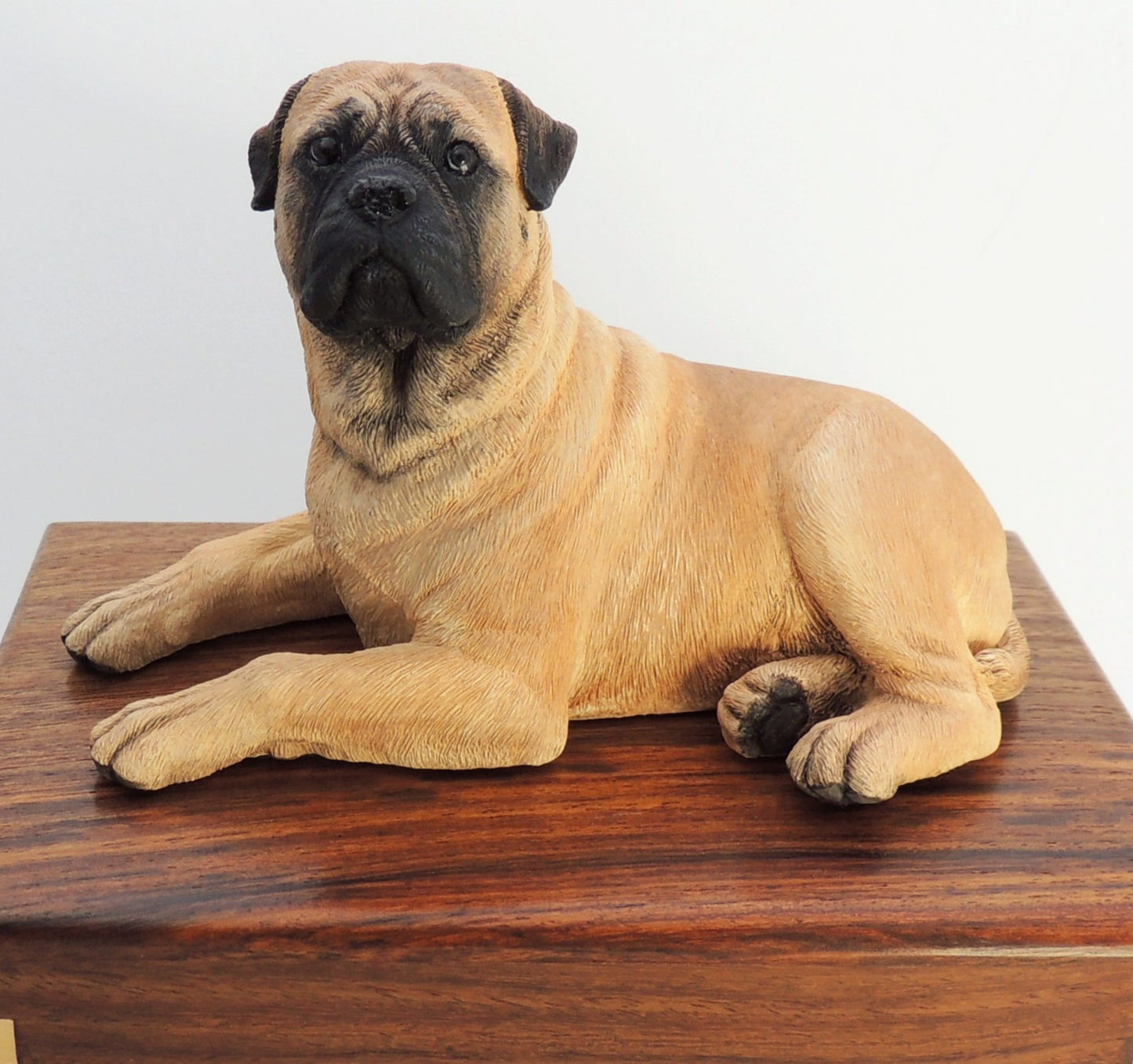 Bullmastiff Wooden Cremation Urn ( Holds 1400 gr aprox )
