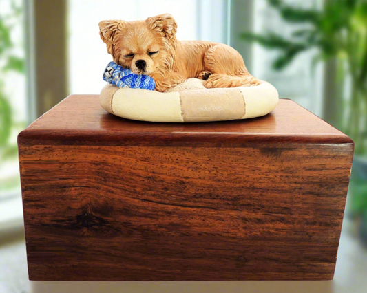 cremation urn for long haired chihuahua