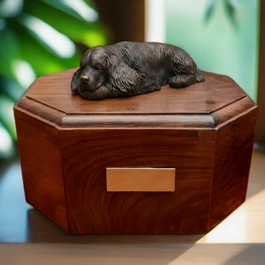 English Springer Spaniel Wooden Cremation Urn For Ashes