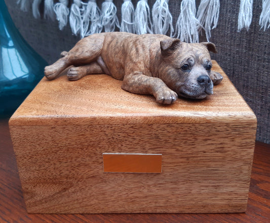 Staffordshire Bull Terrier avec urne de crémation en bois pour cendres 