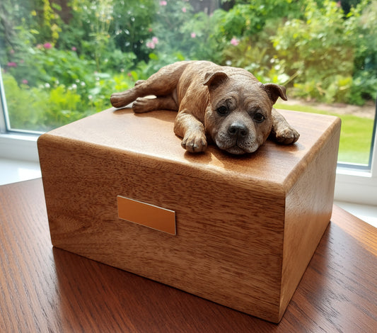Staffordshire Bull Terrier With Wooden Cremation Urn For Ashes