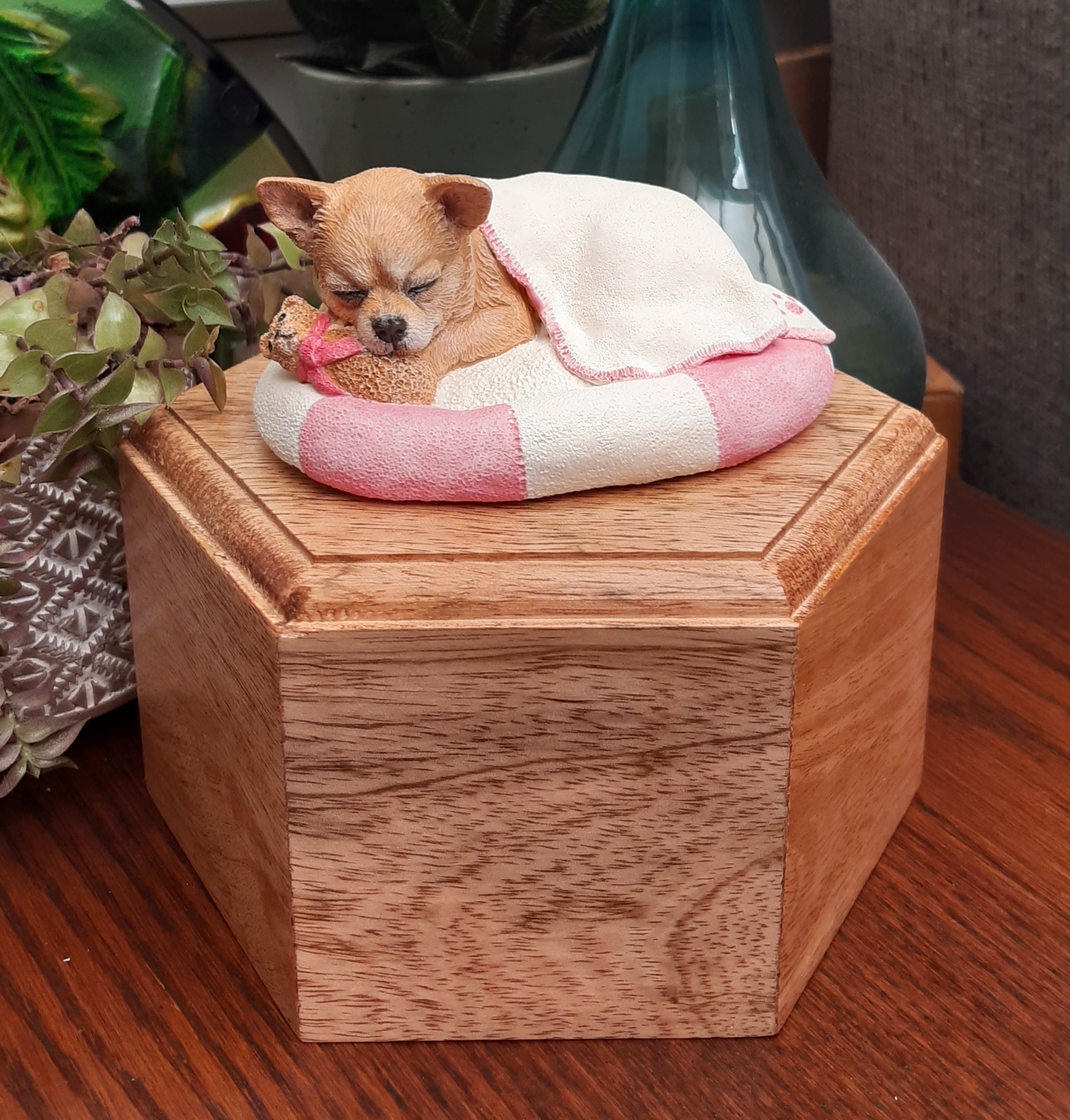 Chihuahua 2024 pet urn