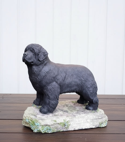 Limited Edition Newfoundland Sculpture