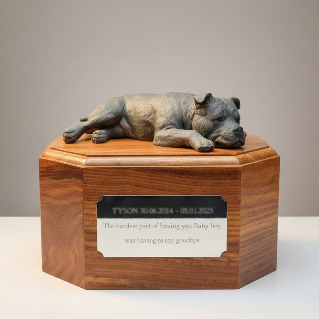 Wooden pet urn with a gray staffordshire bull terrier dog figurine on a wooden surface, surrounded by decor items.