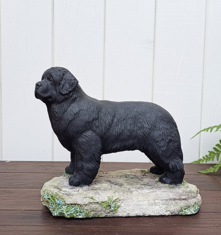 Black Newfie dog statue on a rock base with a white paneled wall background