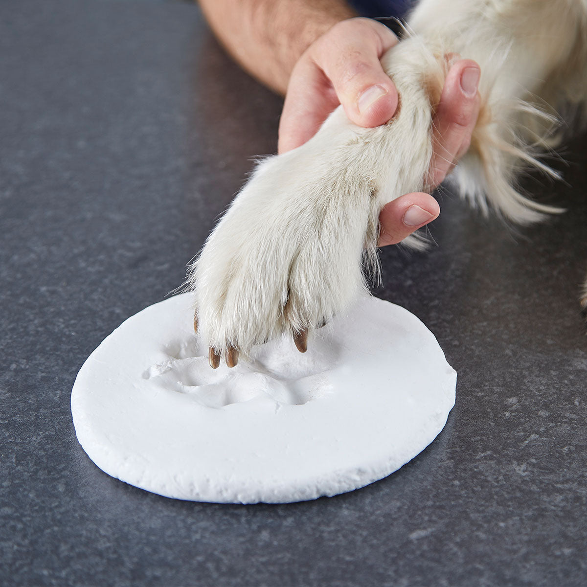 Clay Pet Paw Impression Moulding Kit