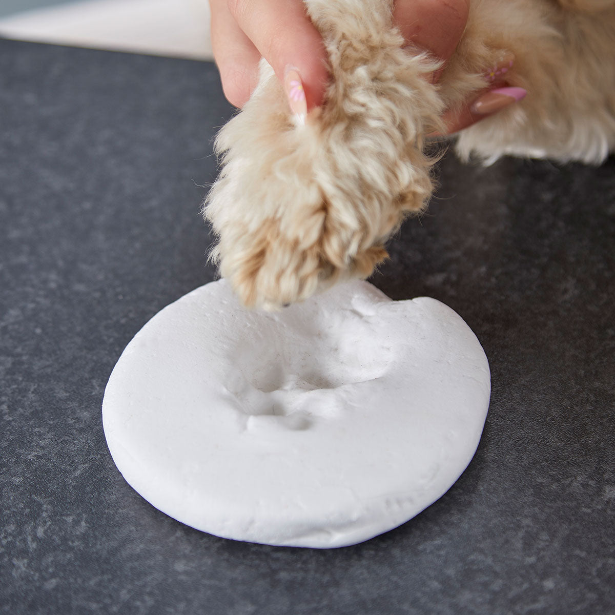 Clay Pet Paw Impression Moulding Kit