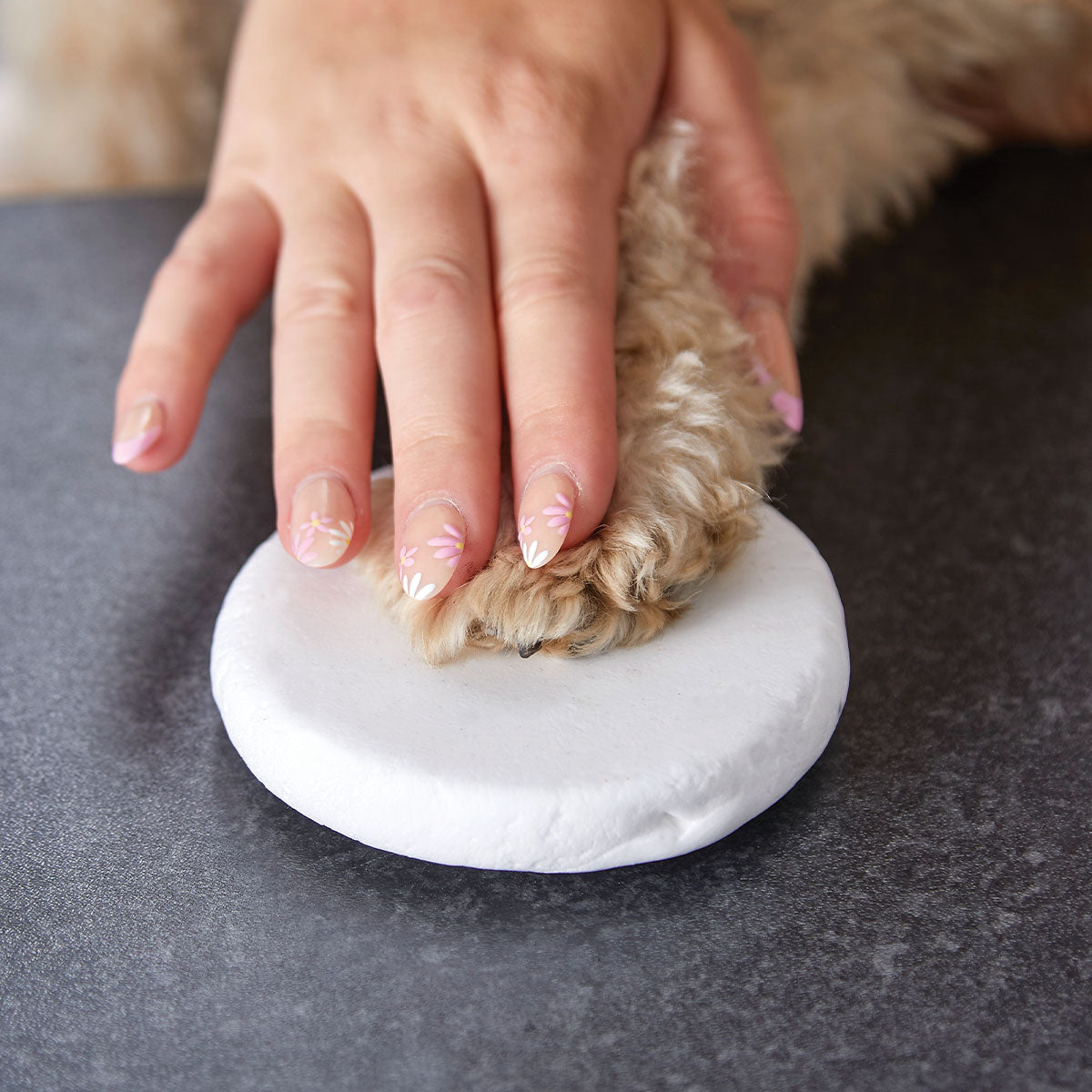 Clay Pet Paw Impression Moulding Kit