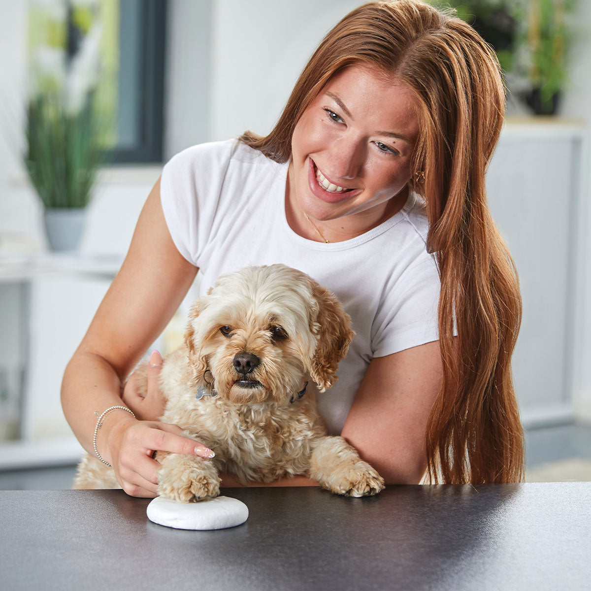 Clay Pet Paw Impression Moulding Kit