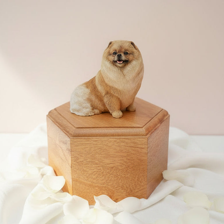 Small Pomeranian dog standing on a wooden urn next to a plant indoors.