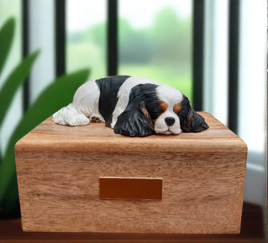 cavalier king charles spaniel dog casket for ashes