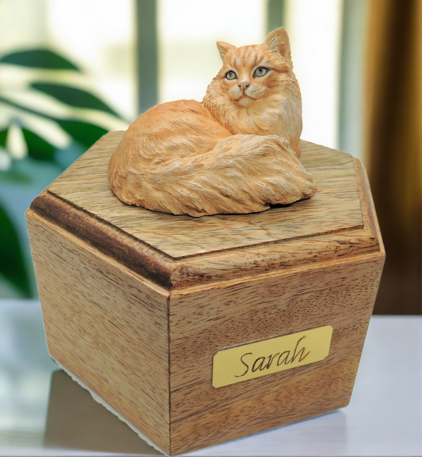 Longhaired Pillbox Style Cat Cremation Urn for Pet Ashes