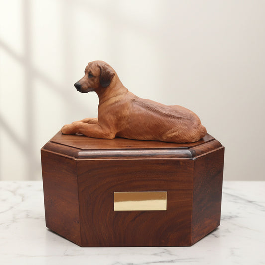 Rhodesian Ridgeback urn with sculpture and rosewood casket