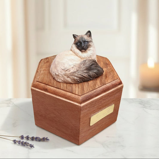 Seal point ragdoll cat lying on a wooden cremation urn