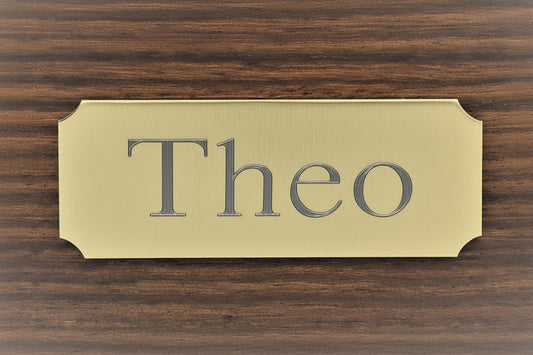 A polished aluminium /brass name plate with the engraved name 'Theo' in a gold finish.